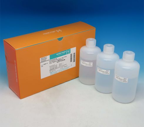 Gel-Negative Stain Kit for SDS-PAGE